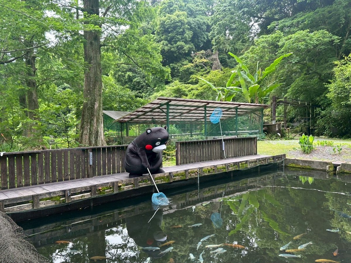 おはくま〜！出かける人も仕事の人も、気を付けていってらっしゃいだモン！