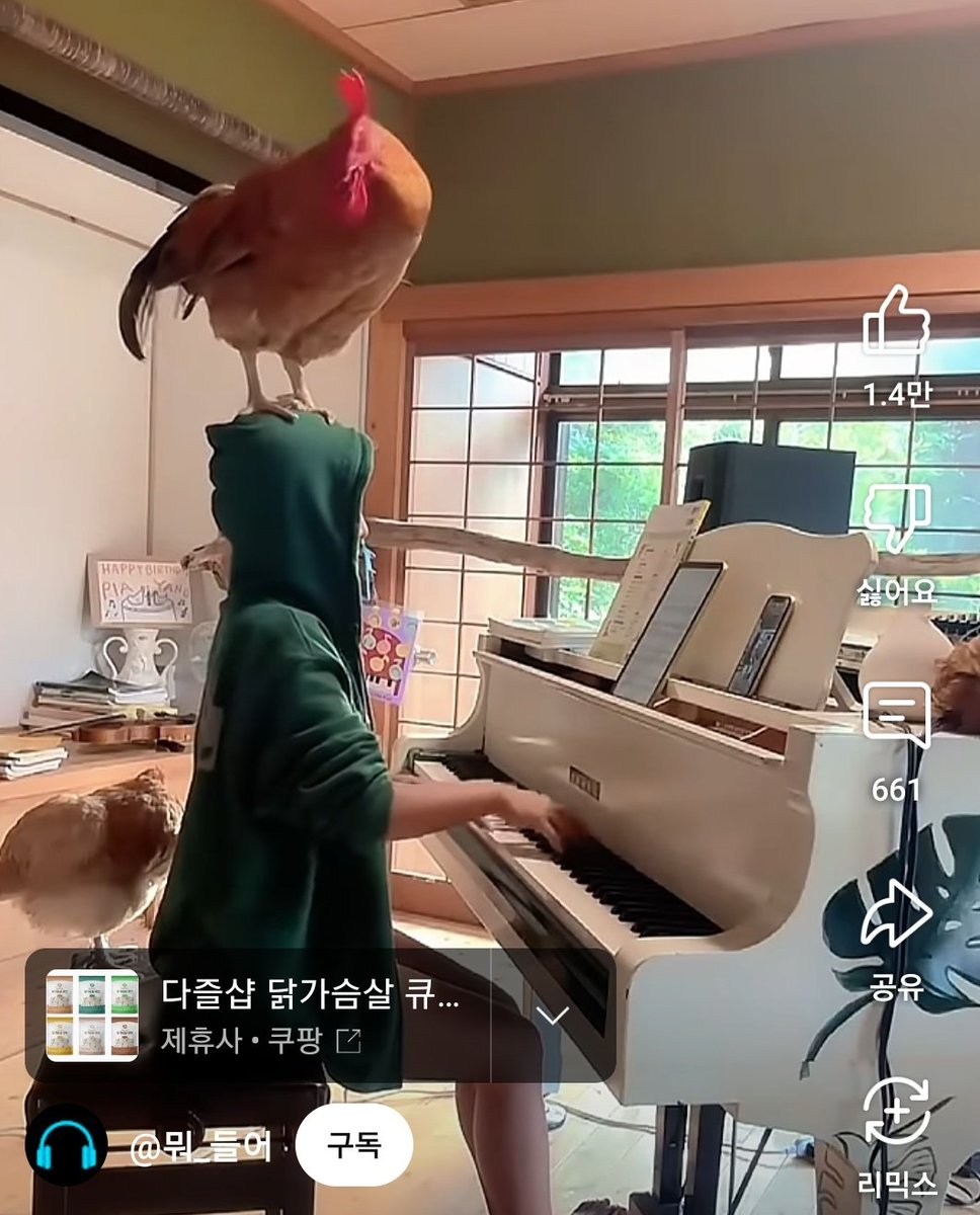 내 알고리즘에 뭔일이 일어났는지도 모르겠고
와중에 닭가슴살 광고 실환가 싶고