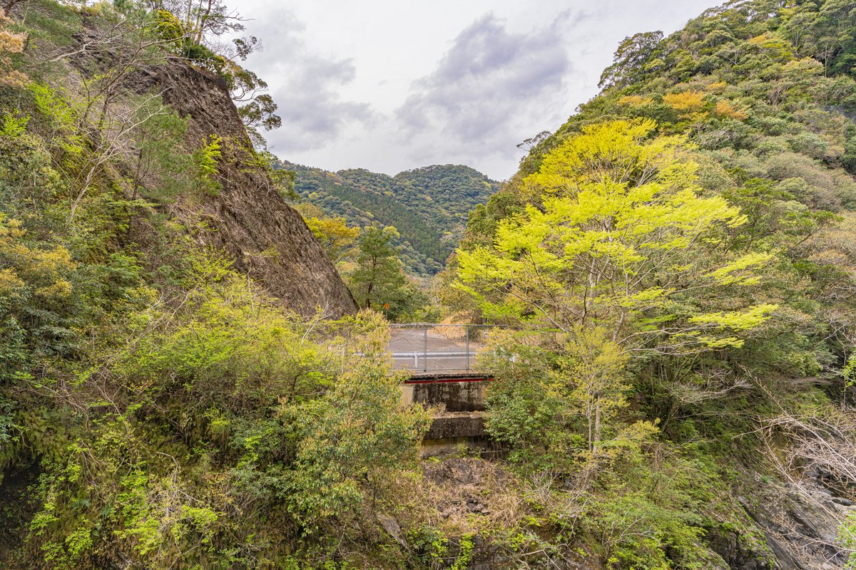 九州遠征にて沢山遭遇しました。 #通行止めは観光地