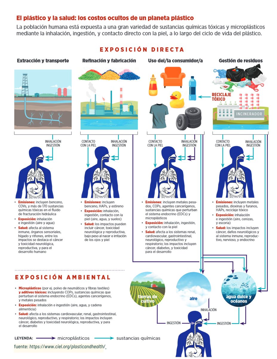 En el #DíaMundialDelMedioAmbiente es imperativo defender el derecho a la salud. Eso significa sin toxicos nocivos.  Todo el año y sin cansancio compartimos los costos ocultos del #plástico en nuestro planeta