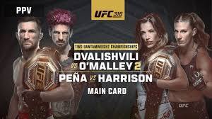UFC 316 @ Rooftop on Miller 7pm