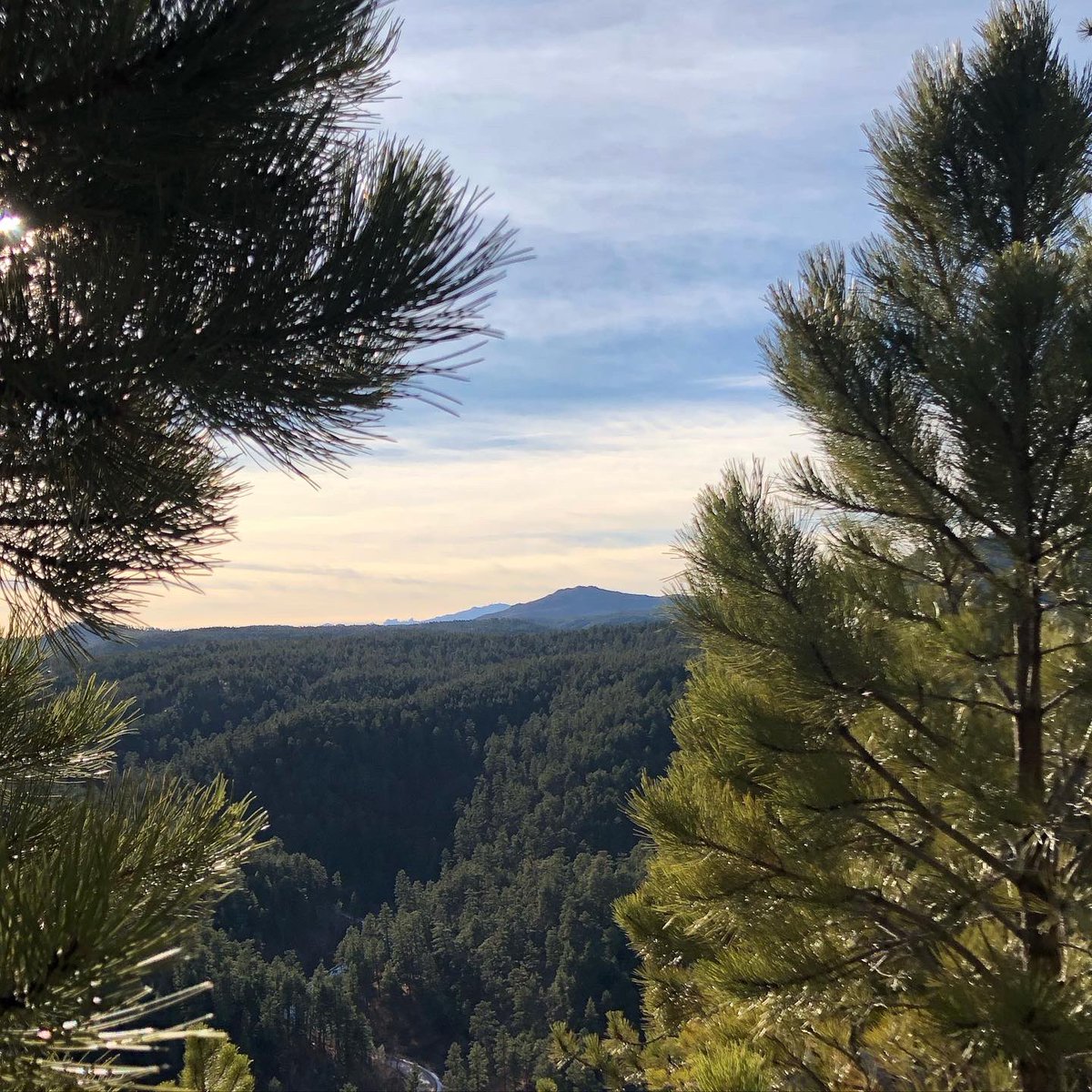 JasonSalamun's tweet photo. It’s #605Day here in South Dakota. It’s a beautiful place to visit and an even better place to call home. https://t.co/T6wBiyAmC0