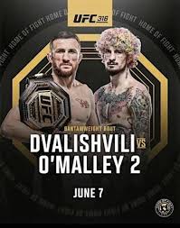 UFC 316!!!  7pm @ Rooftop on Miller