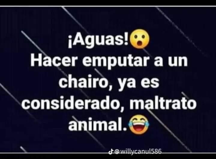 Mex_Libertario's tweet photo. ¡Suscríbanse a nuestro canal institucional en #Youtube! 🗽🦔🎞🐍🧗♀️🛜🙏📲
Y recuerde: al suscribirse, hace llorar a un socialista.
Estamos en esta dirección, con un gran número de videos sobre #Libertarismo:
👉 https://t.co/XqGqahQqqq
#MxLib 🇲🇽 #Libertarios https://t.co/tXizU72t9n