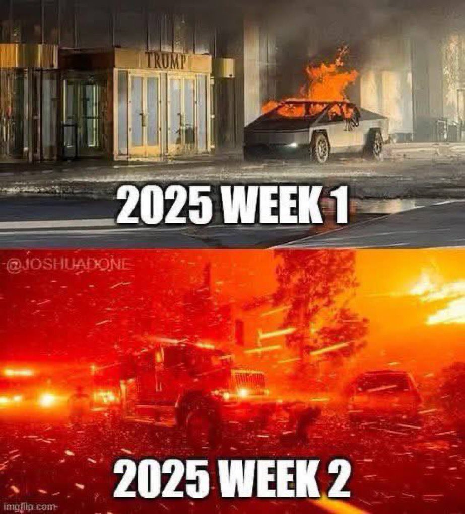 PaidaMoyo tweet media