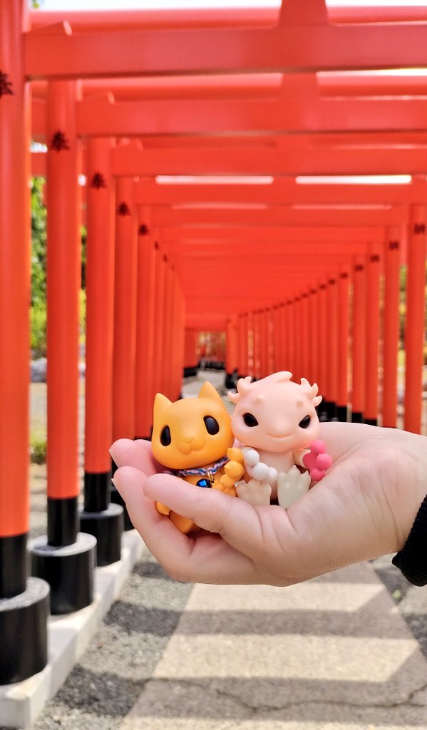 ruumin810's tweet image. 髙山稲荷神社を初めて参拝しました✨千本鳥居がとても素敵でまた必ず訪れたいと思います。
帰りに食べた最中がとても美味しかったです😊
#モンスターファクトリー