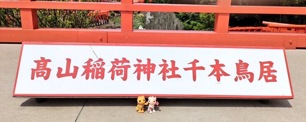 ruumin810's tweet image. 髙山稲荷神社を初めて参拝しました✨千本鳥居がとても素敵でまた必ず訪れたいと思います。
帰りに食べた最中がとても美味しかったです😊
#モンスターファクトリー