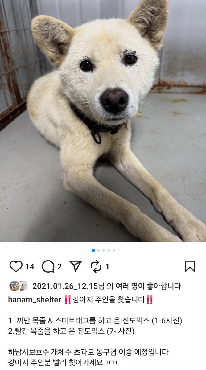 보호자분이 보시길ㅠㅠ...어서 찾아가세요..
동구협은 2주 안에 바로 안락사에요...