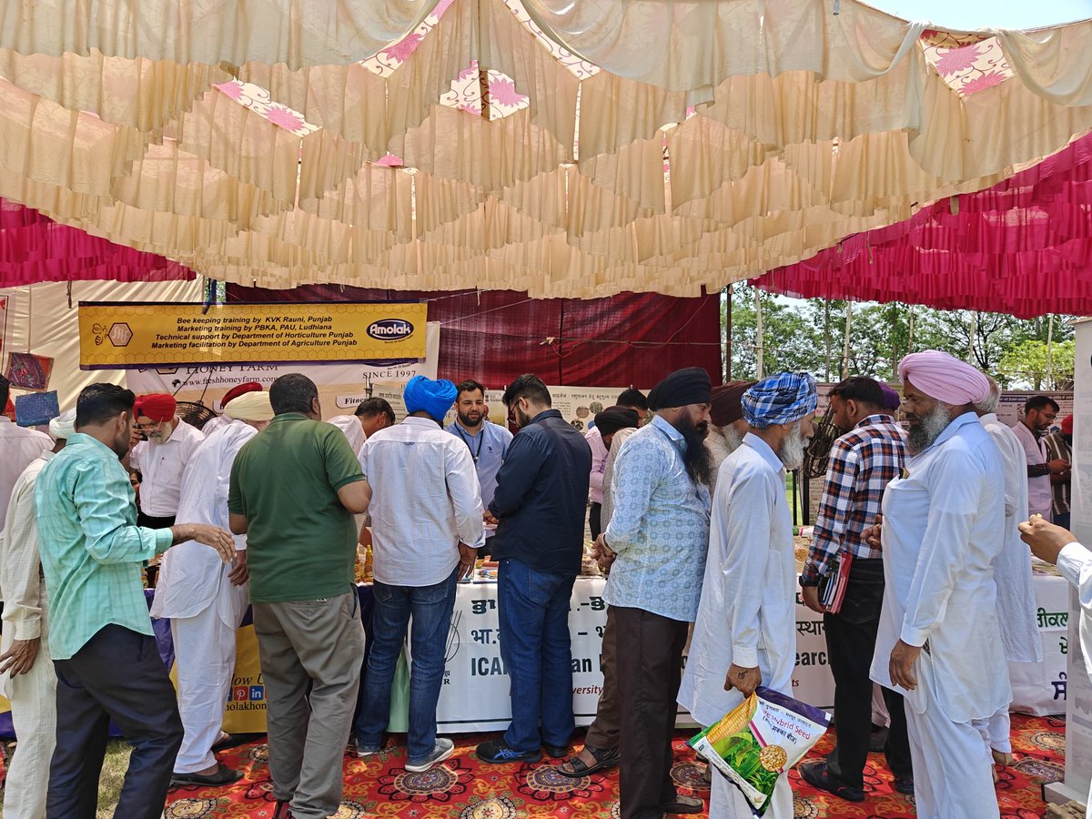 ICAR-IIMR took part in the Viksit Krishi Sankalp Abhiyan at Rauni, Patiala, in the presence of Hon’ble Agri Minister Shri Shivraj Singh Chouhan ji &amp; Dr ML Jat, DG, ICAR. Maize tech, value-added products &amp; best practices were showcased to boost kharif maize in Punjab. 🌽#VKSA
