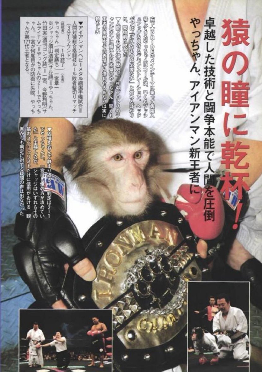 Yat-chan the grappling monkey #DDTpro