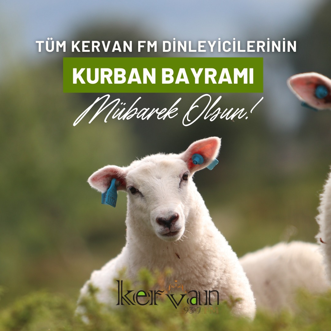 Kurban bayramınız mübarek olsun...
#Hayırlı_Cumalar 
#HayırlıBayramlar