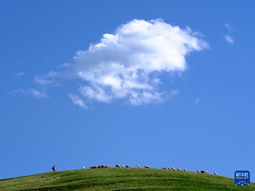 PDChinese's tweet image. 【內蒙古：夏日大青山綠意盎然】夏日，位於內蒙古自治區呼和浩特市北部的內蒙古大青山國家級自然保護區綠意盎然，呈現出一派生機勃勃的美麗景象。