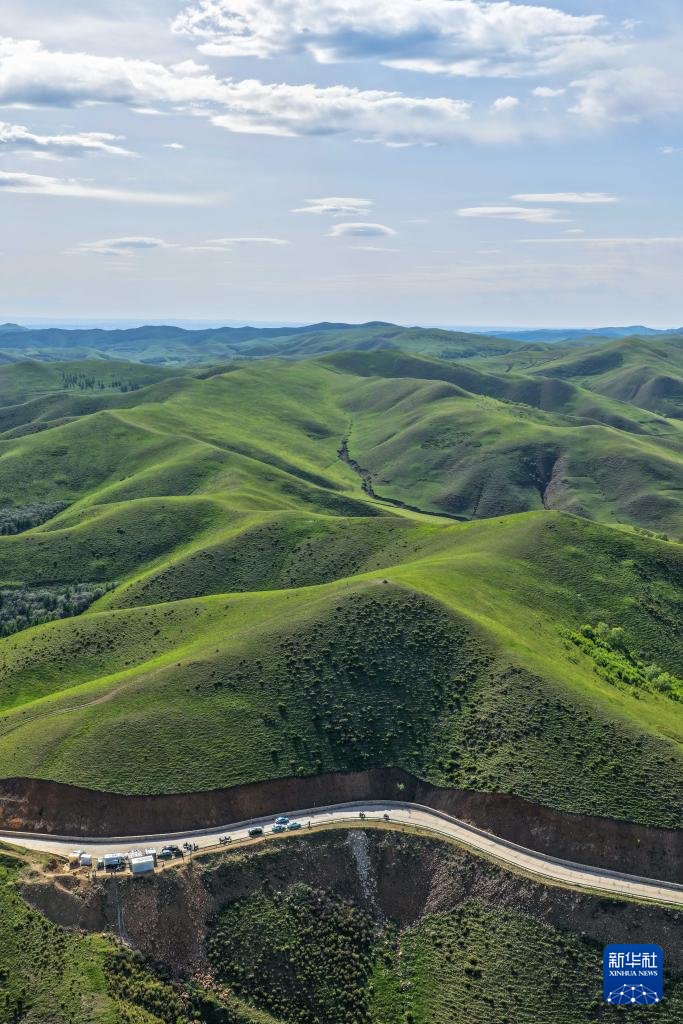 PDChinese's tweet image. 【內蒙古：夏日大青山綠意盎然】夏日，位於內蒙古自治區呼和浩特市北部的內蒙古大青山國家級自然保護區綠意盎然，呈現出一派生機勃勃的美麗景象。