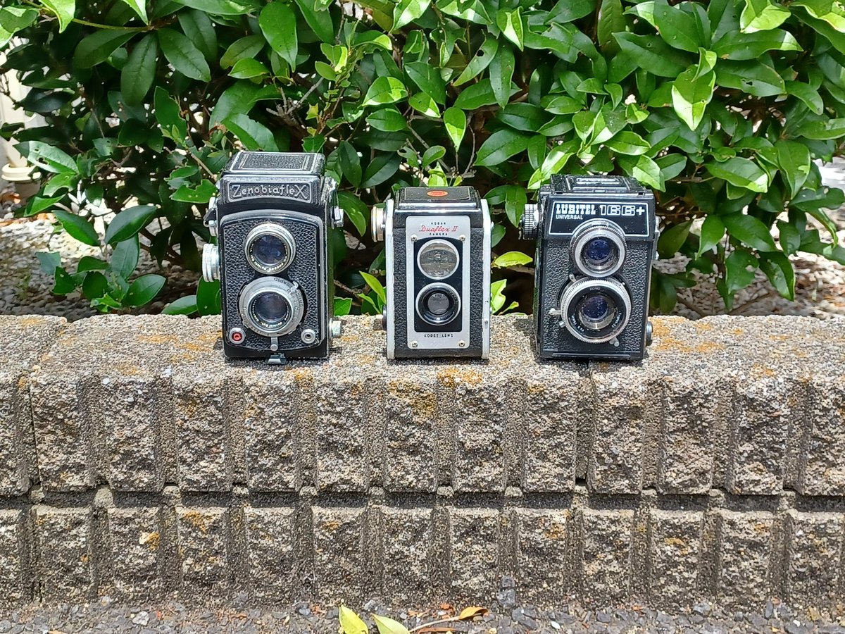 dorothea_swift's tweet photo. そして、本日は…
#66の日
#ZENOBIAFLEX #DUAFLEXⅡ #LUBITEL166plus https://t.co/xkFOBoNa0r