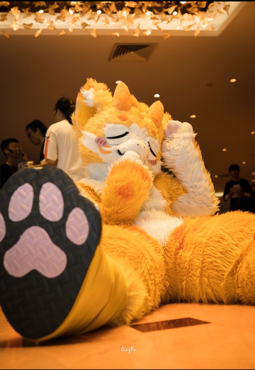 #FursuitFriday

今天犯什么坏好呢