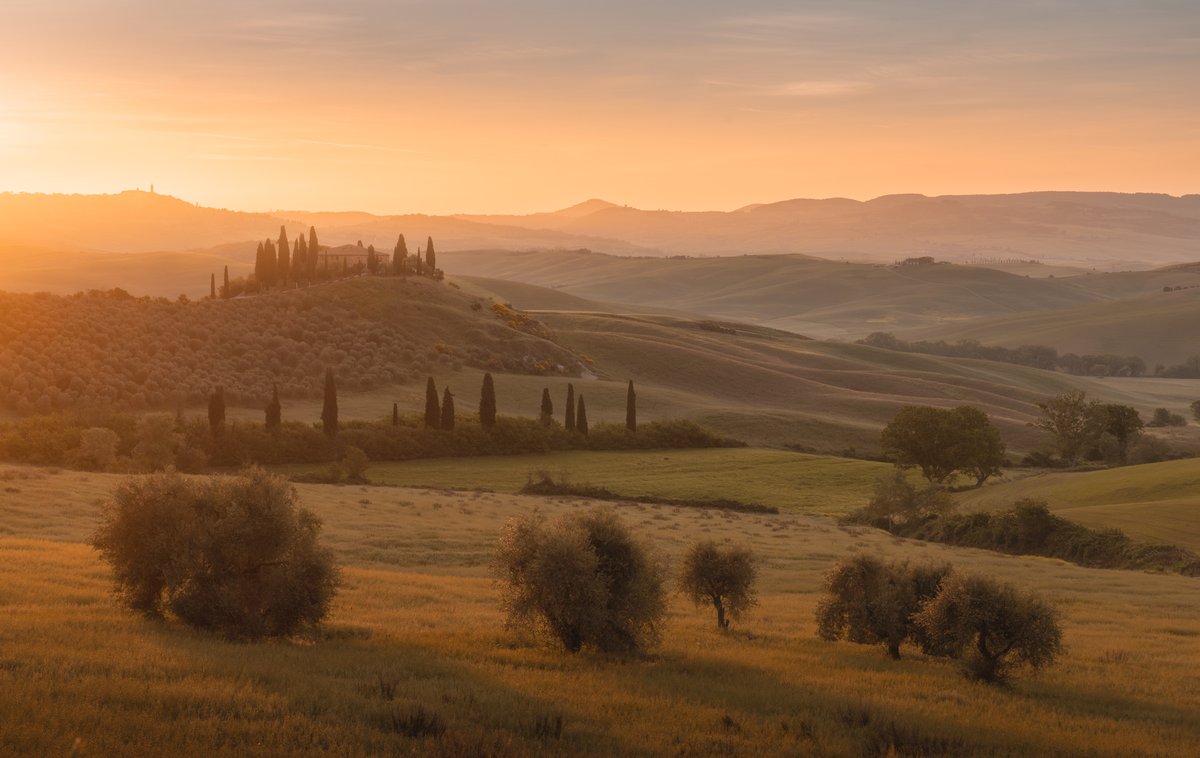 Golden layers of Tuscany bathing in the morning light.