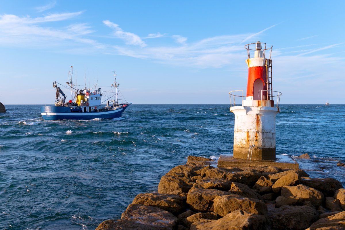 New research from GEOMAR Helmholtz Center for Ocean Research Kiel and Kiel University proposes a new independent European Fisheries Authority to make catch advice truly science-based and independent of political influence, supporting #EBFM. 
Read here 👉 loom.ly/rGjZm-c