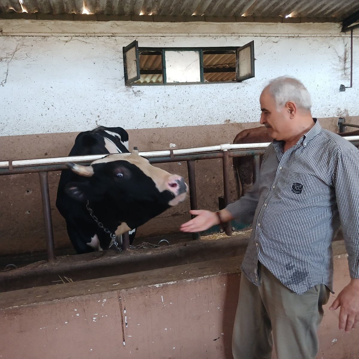 *Cuma gününe rast gelen bu bayram,* çok kıymetdar olan *haccü'l-ekber olduğundan, hacca bu sene gidenler çok kazanmışlar.* Cenab-ı Hak *bizi de onların hayırlı dualarına hissedar eylesin, âmîn.* 
Cumanız ve Kurban Bayramınız Hayırlara vesile olsun inşallah