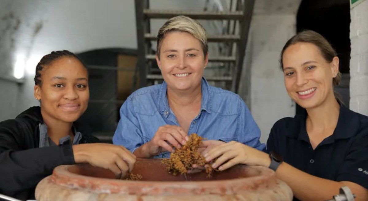 Stellenbosch just beat Bordeaux, Napa &amp; Australia! 🍷

Le Grand Domaine’s La Grande Sélection 2022 won “Best Cabernet Sauvignon in the World” at the 2025 International Wine Challenge in London — crafted by an all-women team. 👏

#IWC2025 #SAWine #LaGrandeSelection