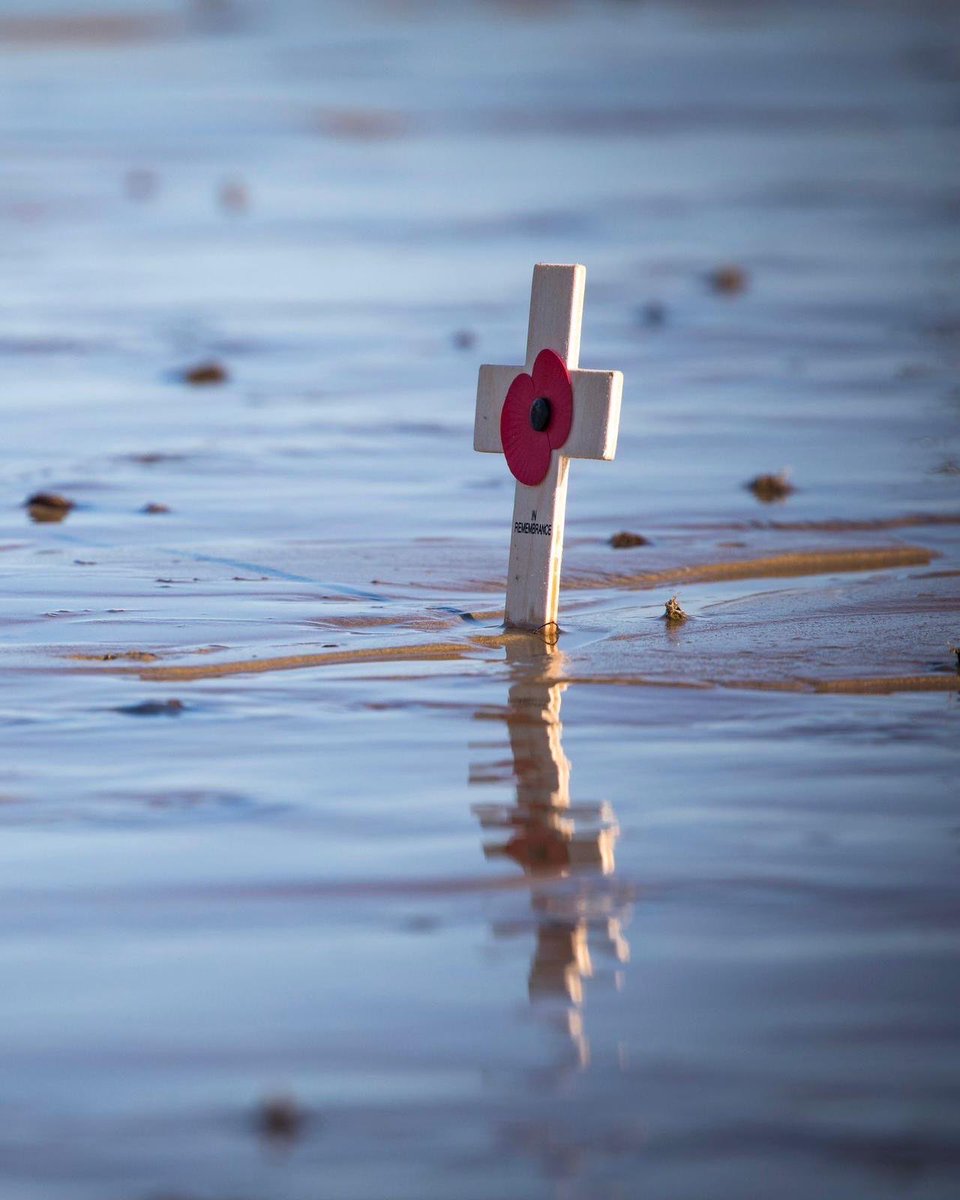 Al Carns tweet media