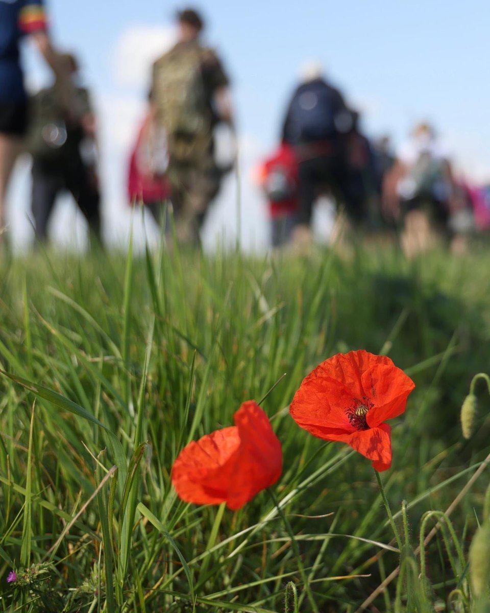 Al Carns tweet media