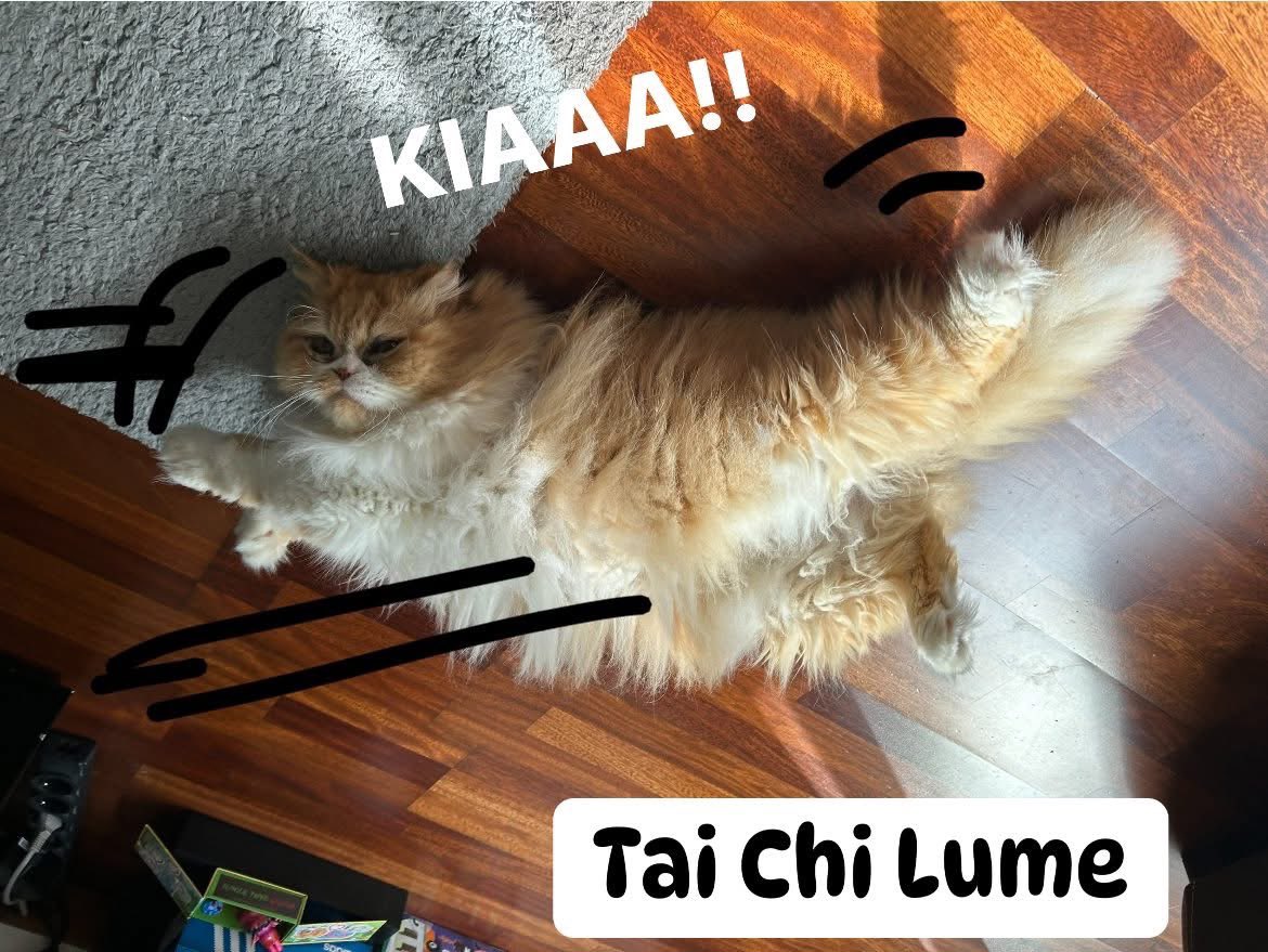 Andrés Castro (@acastrofilms) on Twitter photo 