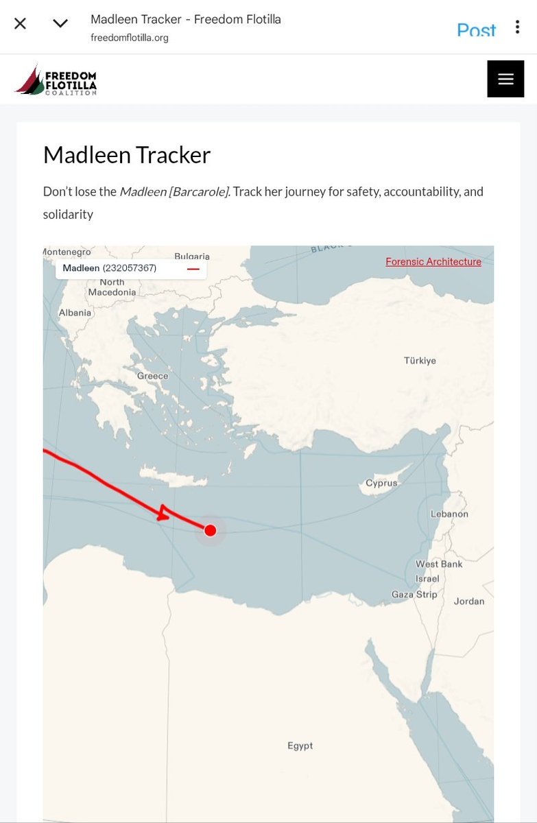 #MadleenTracker
