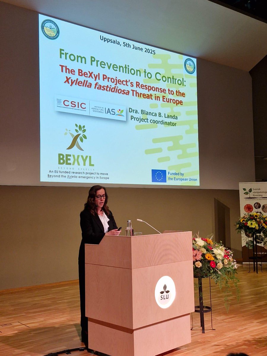 BexylP's tweet image. The #BeXylProject proudly participated in the 14th Conference of the European Foundation for Plant Pathology, held this week in Uppsala, Sweden! 🇸🇪

Our speakers presented key research on Xylella fastidiosa:

🔬 Igor D. Weber (University of Brescia): &quot;Epidemiological model of…