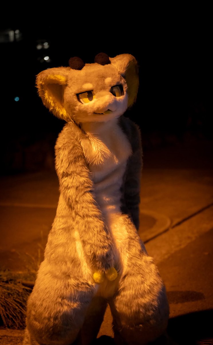 金玉キラキラ金曜日✨

 #FursuitFriday