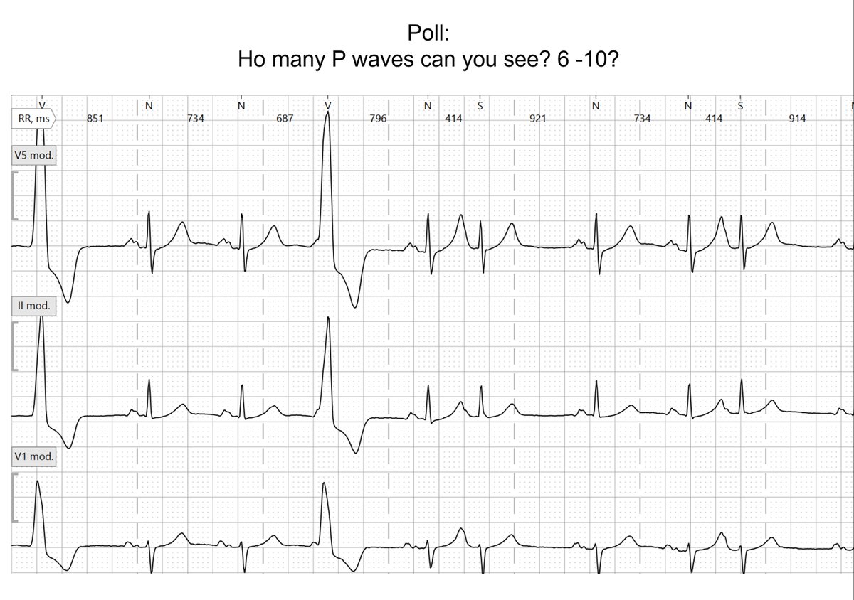 Dr. Andreas Roeschl tweet media
