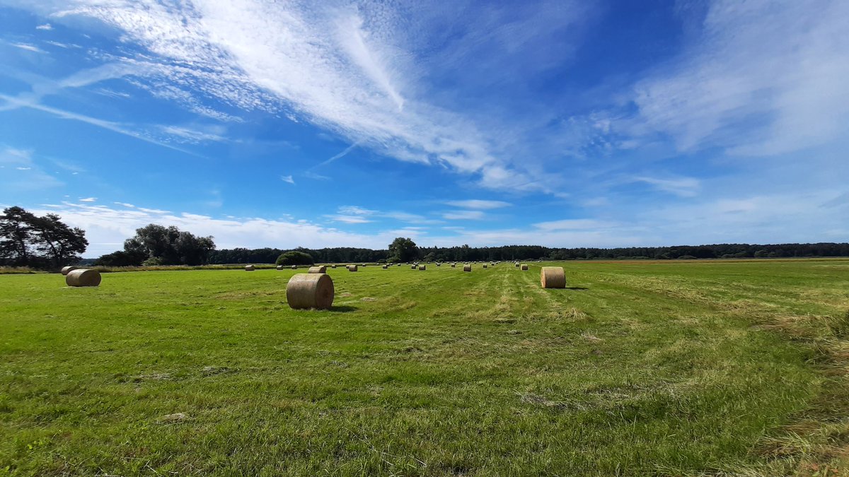 MarkusZerhusen's tweet image. Heute ein paar schöne Bilder aus meiner Heimat, unterschiedliche Regionen vom letzten Sommer. 🐎 Die Temperaturen sind gut, aber es regnet den halben Tag... 🌦😔 nichts mit großen Touren am Wochenende. 🦋💙🐞❤🤠💬
#Wanderlust #Fernweh #Natur