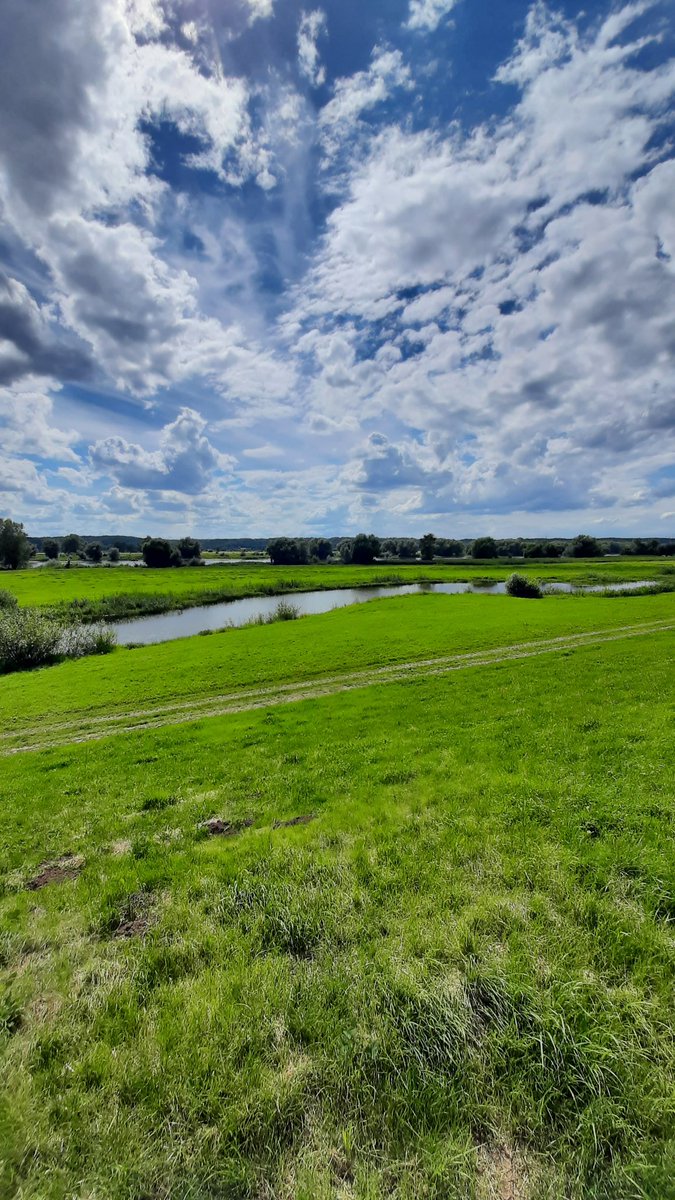 MarkusZerhusen's tweet image. Heute ein paar schöne Bilder aus meiner Heimat, unterschiedliche Regionen vom letzten Sommer. 🐎 Die Temperaturen sind gut, aber es regnet den halben Tag... 🌦😔 nichts mit großen Touren am Wochenende. 🦋💙🐞❤🤠💬
#Wanderlust #Fernweh #Natur