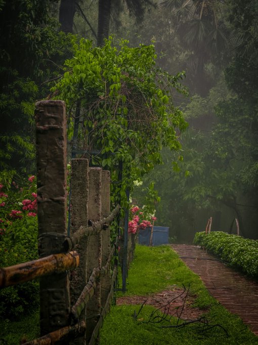 Photography by Mohammad Minhaz