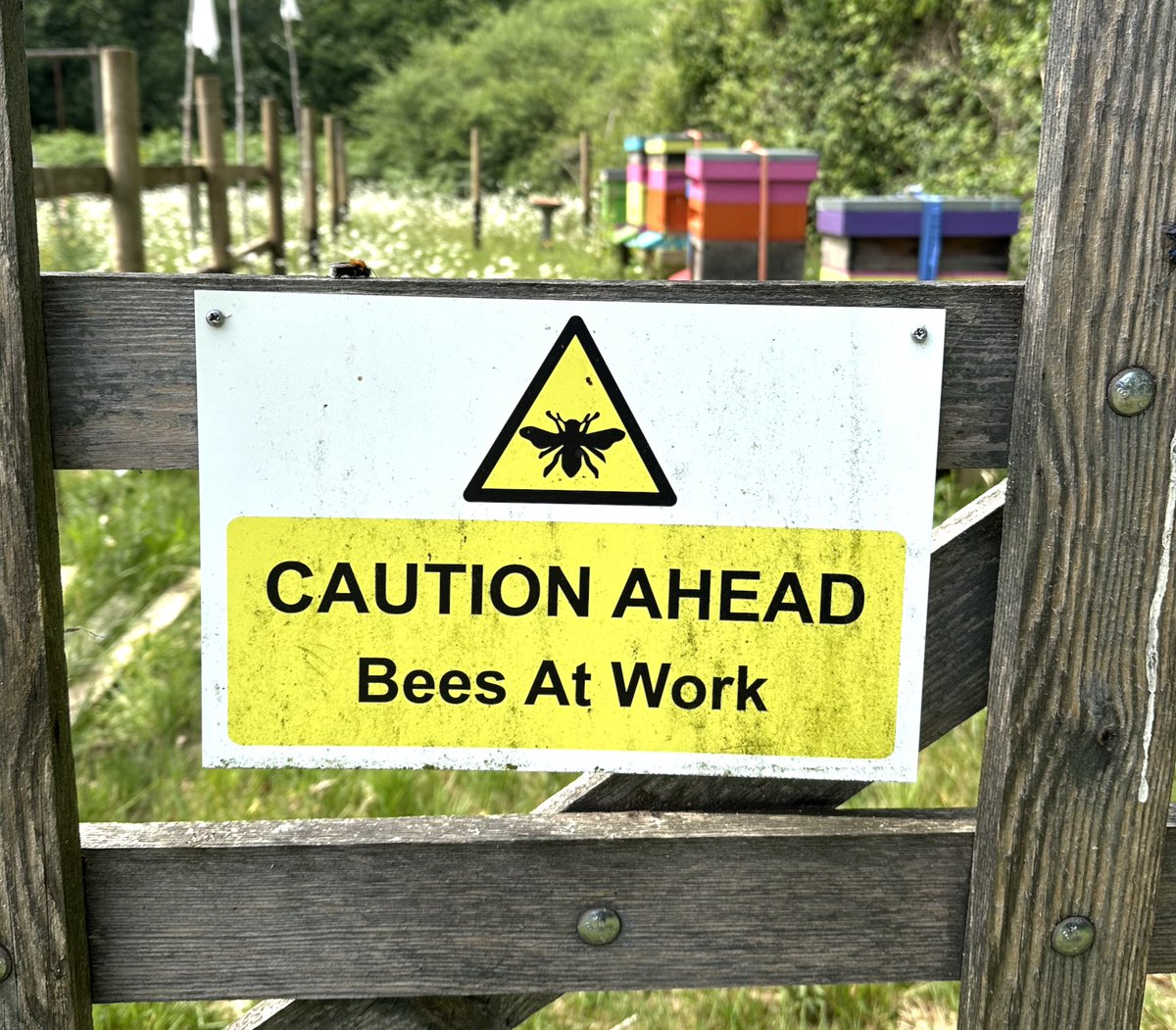 thelabelpeople's tweet image. Smart safety isn’t just about bee-ing seen — it’s about being remembered 🐝🐝🐝

#SafetySignage #BeesAtWork #WorksiteWisdom #SignageWithSting