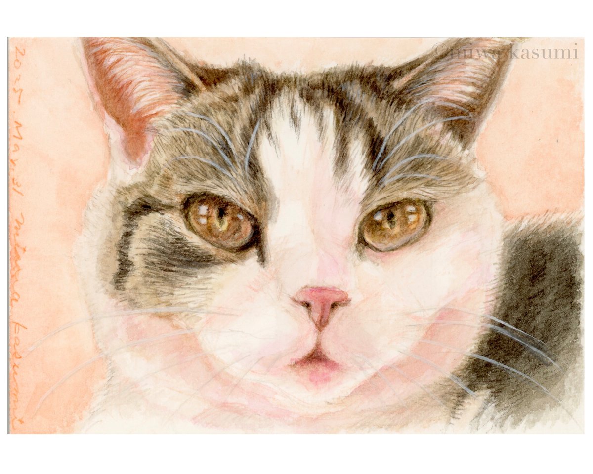 catportrait's tweet photo. #catart
watercolor &amp; coloredpencil
しょうちゃんの練習① https://t.co/4ZPvQOynic