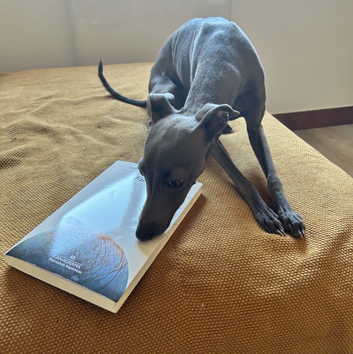 Mira, <a href="/murciano81/">Luis López Carrasco</a>, Prado se ha puesto en un plan de esto es mío y punch insoportable