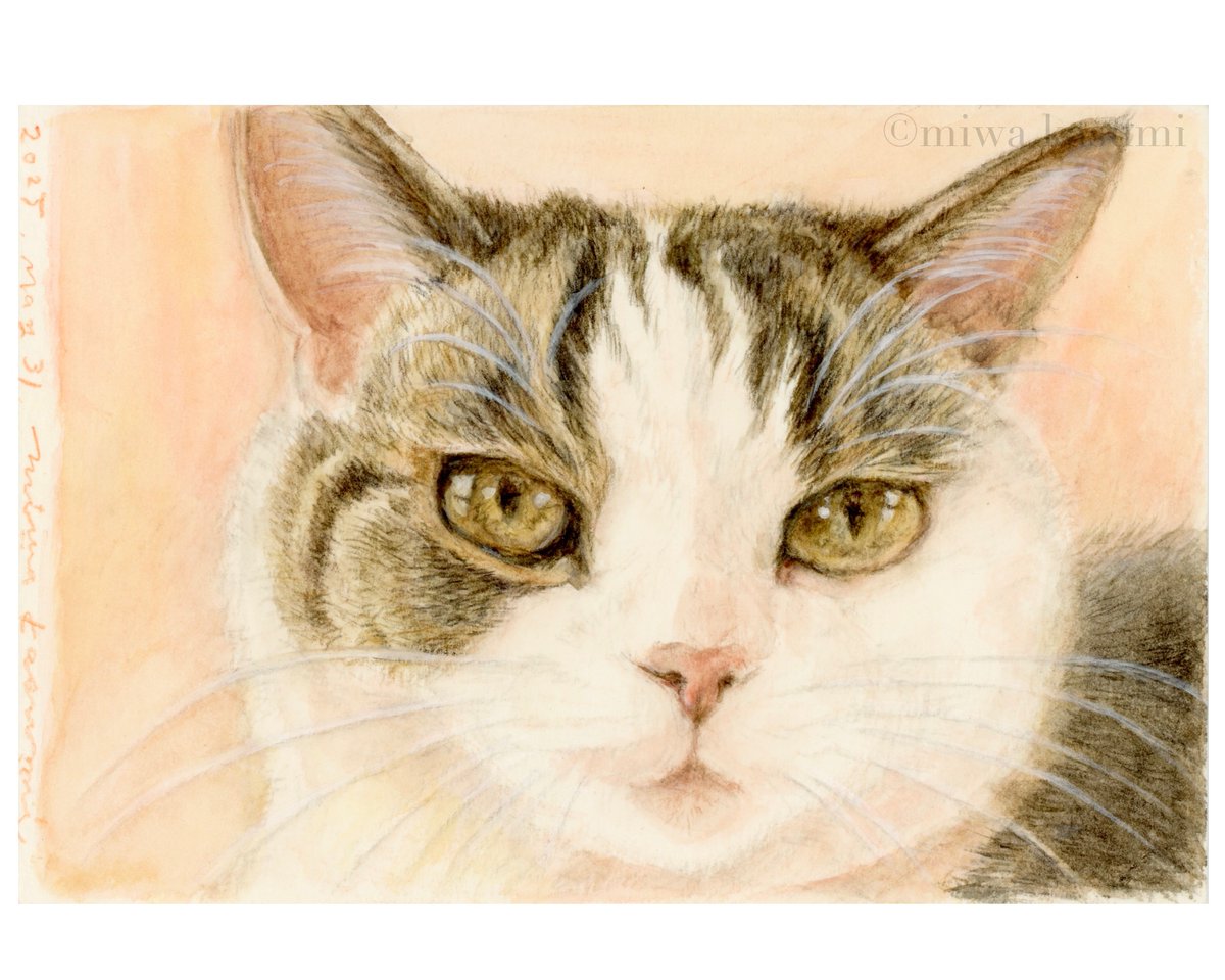 catportrait's tweet photo. 紙を変えて、しょうちゃん②
#vifart https://t.co/wishfaaPPj