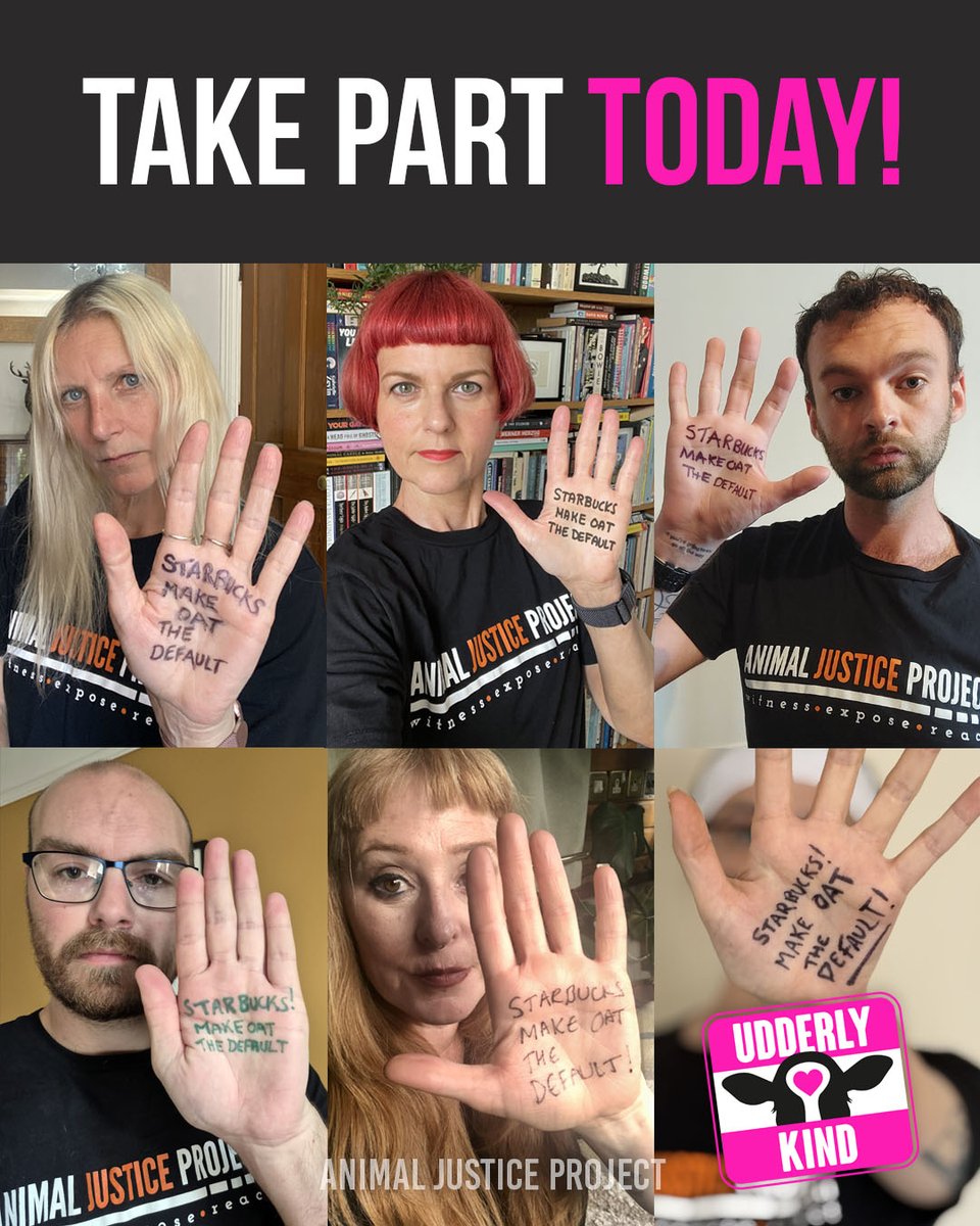 AnimalJusticeProject (@ajpreact) on Twitter photo šø If 100 people shared a photo with āStarbucks Make Oat the Defaultā written on their hand, weād reach thousands with our message. You can help make it happen!
Take a photo, share it to your socials and tag <a href="/StarbucksUK/">Starbucks UK</a> and <a href="/ajpReact/">AnimalJusticeProject</a>
#Arlarming #UdderlyKind #Starbucks šø If 100 people shared a photo with āStarbucks Make Oat the Defaultā written on their hand, weād reach thousands with our message. You can help make it happen!
Take a photo, share it to your socials and tag <a href="/StarbucksUK/">Starbucks UK</a> and <a href="/ajpReact/">AnimalJusticeProject</a>
#Arlarming #UdderlyKind #Starbucks