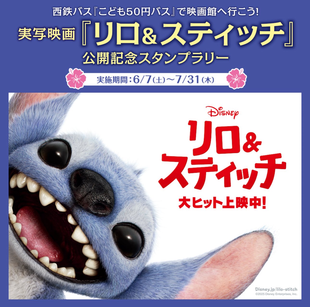 リロ＆スティッチ お得 まとめ売り リロ&スティッチ - リロ＆スティッチ スペシャル・エディション