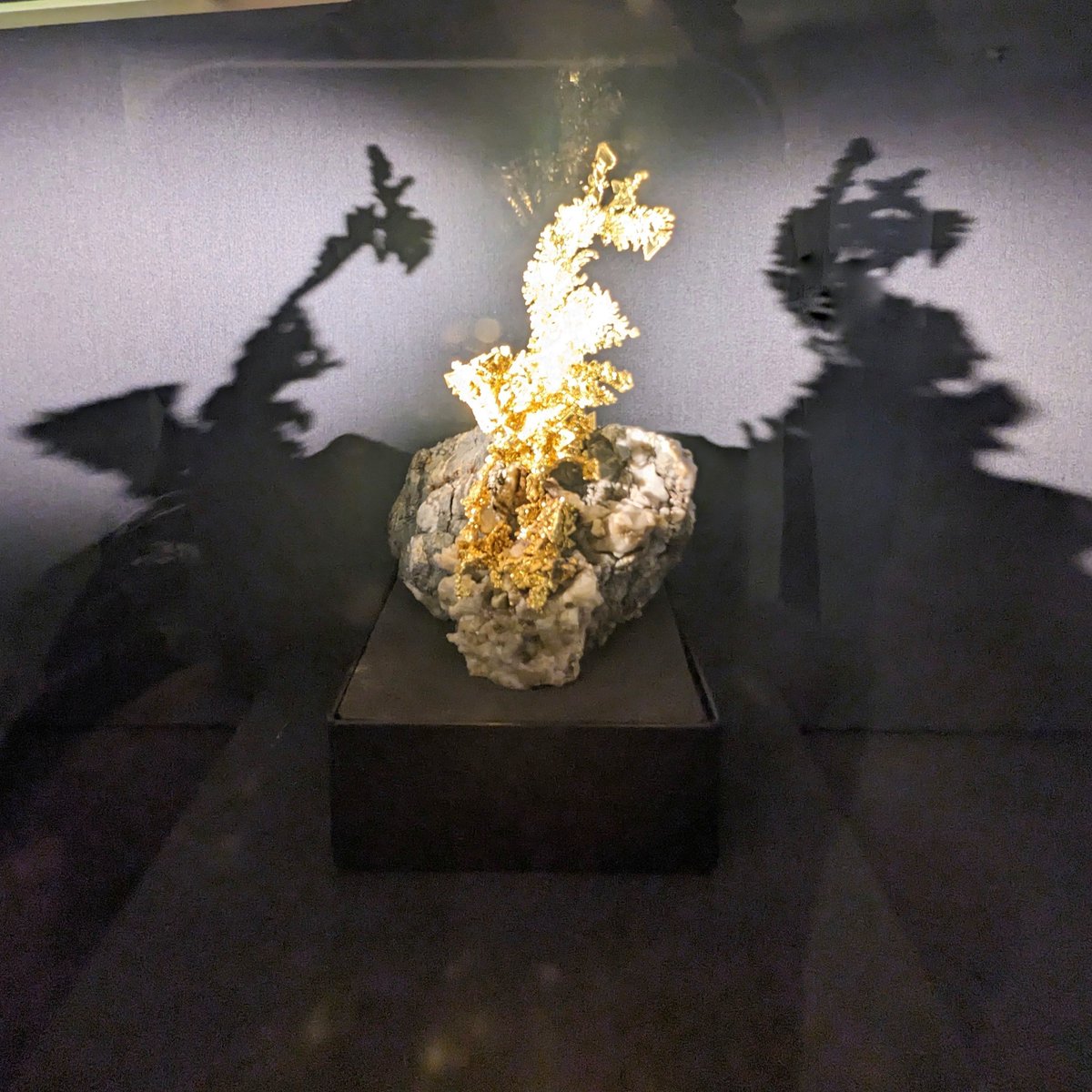 After a recent press view <a href="/NHM_London/">Natural History Museum</a>, I entered the minerals gallery upstairs... a new addition is ‘The Dragon’ — a spectacular piece of gold in the shape of a dragon. Read more in my latest Diary of a London Art Critic: londonisturbanpalette.substack.com/p/diary-of-a-l… #LondonArtCritic <a href="/Londonist/">Londonist</a>