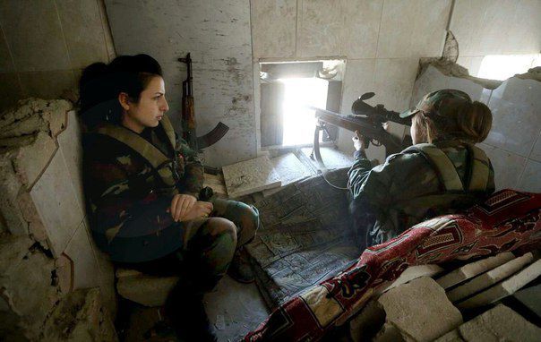 barely_lisa's tweet image. 