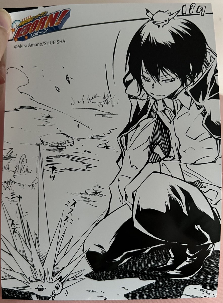 소동물과 함께 있을때 세상 귀엽고 사랑스러워지는 아드님💕