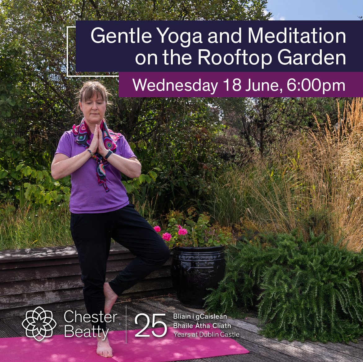 Celebrate International Yoga Day by joining this session designed to embrace the essence of yoga through gentle poses that aim to enhance your flexibility. This event is perfect for participants of all levels. 🎟️€13 per person. More Info and booking here: ow.ly/AjbF50VYLTp