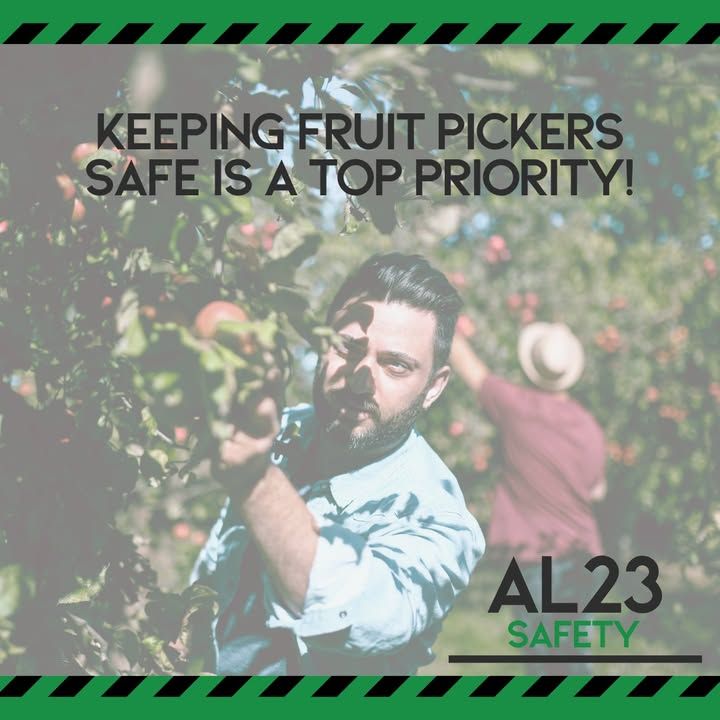 From @AL23Safety 🌾 At AL23 Safety, we’re committed to safeguarding fruit pickers, especially migrants facing hazardous conditions. With tailored solutions for compliance, let’s create safer workplaces together! #AgriculturalSafety #MigrantWorkers