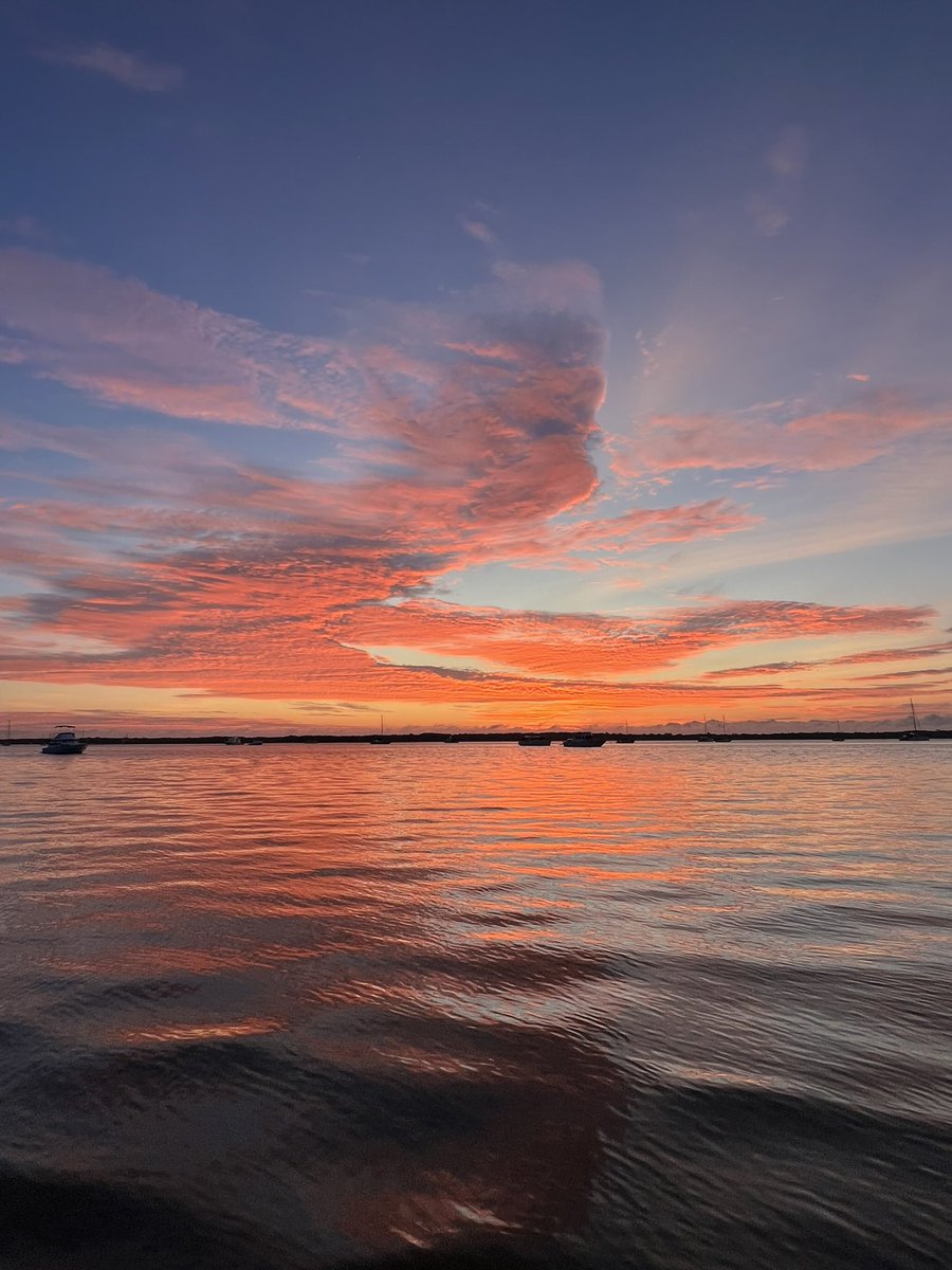 StellaBella67's tweet image. Thank you! What a great team effort for such a great cause. #teambasement #PathwaytoProgress #TheSaltPath 
Privileged to be a part of the walk even though I’m miles away. ❤️