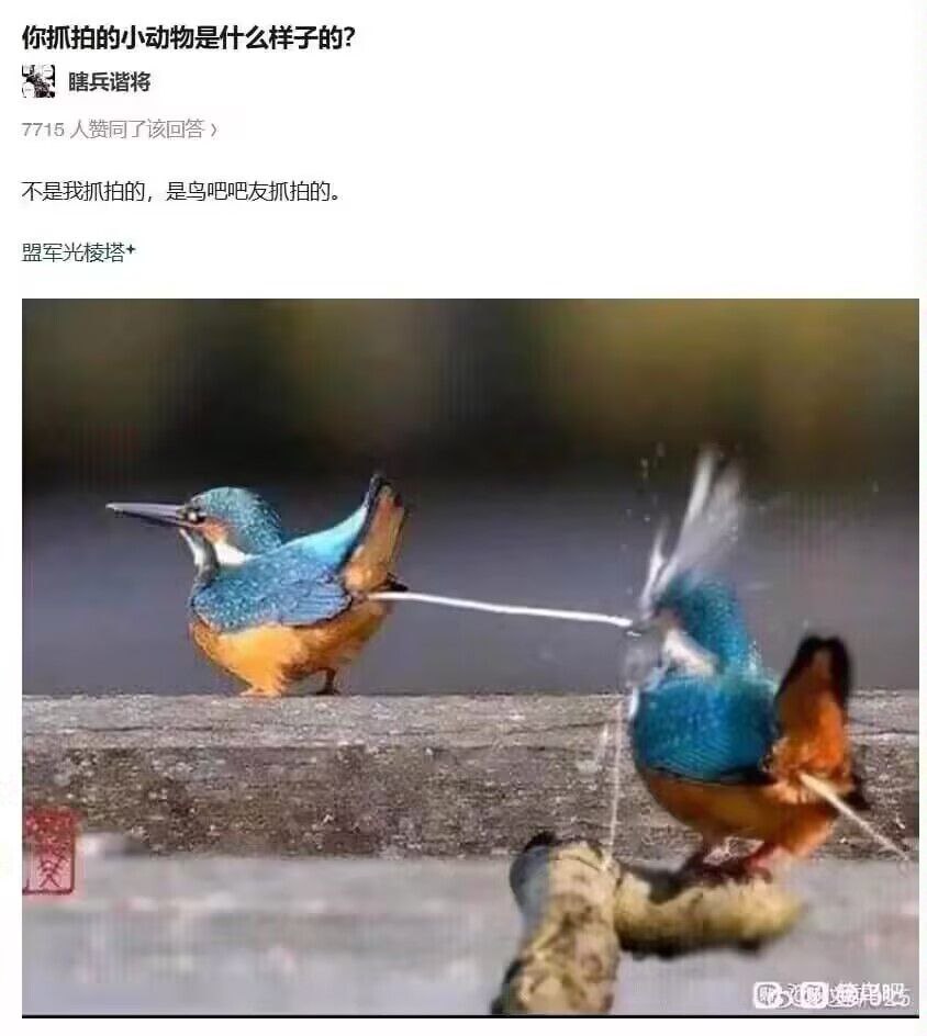 hsn8086's tweet image. 