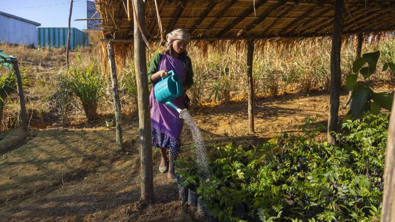 World Bank India (@worldbankindia) on Twitter photo A <a href="/WorldBank/">World Bank</a> project is helping 400 village communities in #Meghalaya revive their land, water, and forests - while creating jobs.
So far:
✅ 3,000 springs rejuvenated
✅ 672 hectares of mine-spoiled land restored
✅ 131 Living Root Bridges conserved
✅ ₹1.3 crore in A <a href="/WorldBank/">World Bank</a> project is helping 400 village communities in #Meghalaya revive their land, water, and forests - while creating jobs.
So far:
✅ 3,000 springs rejuvenated
✅ 672 hectares of mine-spoiled land restored
✅ 131 Living Root Bridges conserved
✅ ₹1.3 crore in