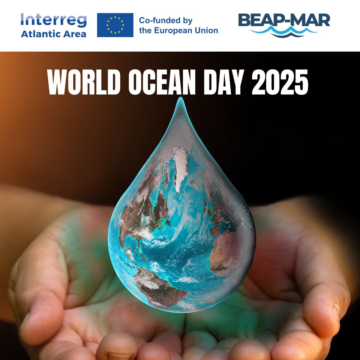 🌊 Happy World Oceans Day! 🌊

On this #WorldOceansDay, we’re proud to be part of the solution working across the Atlantic Area to transform marine biodiversity into opportunity for a healthier, more sustainable future.

Visit beap-mar.eu to learn more