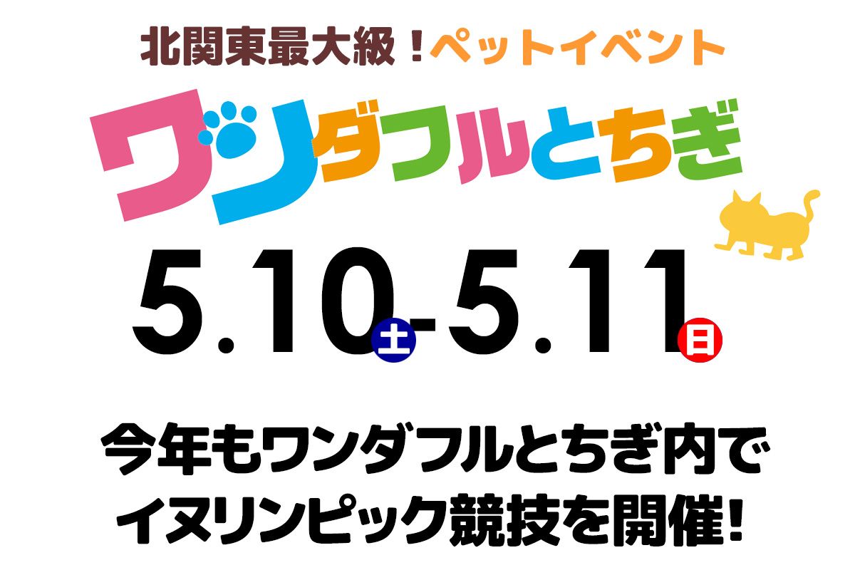 inulympic's tweet photo. お待たせいたしました！5月10日、11日に開催した、「ワンダフルとちぎ2025」の競技結果をHPにアップしました！  愛犬は何位だったかな？
1位～3位に入賞しているわんちゃんには記念メダルをお送りします！申請してね！

https://t.co/7zOZKcVzKp

#ワンダフルとちぎ
#イヌリンピック
#犬イベント https://t.co/qBUTWPtWow