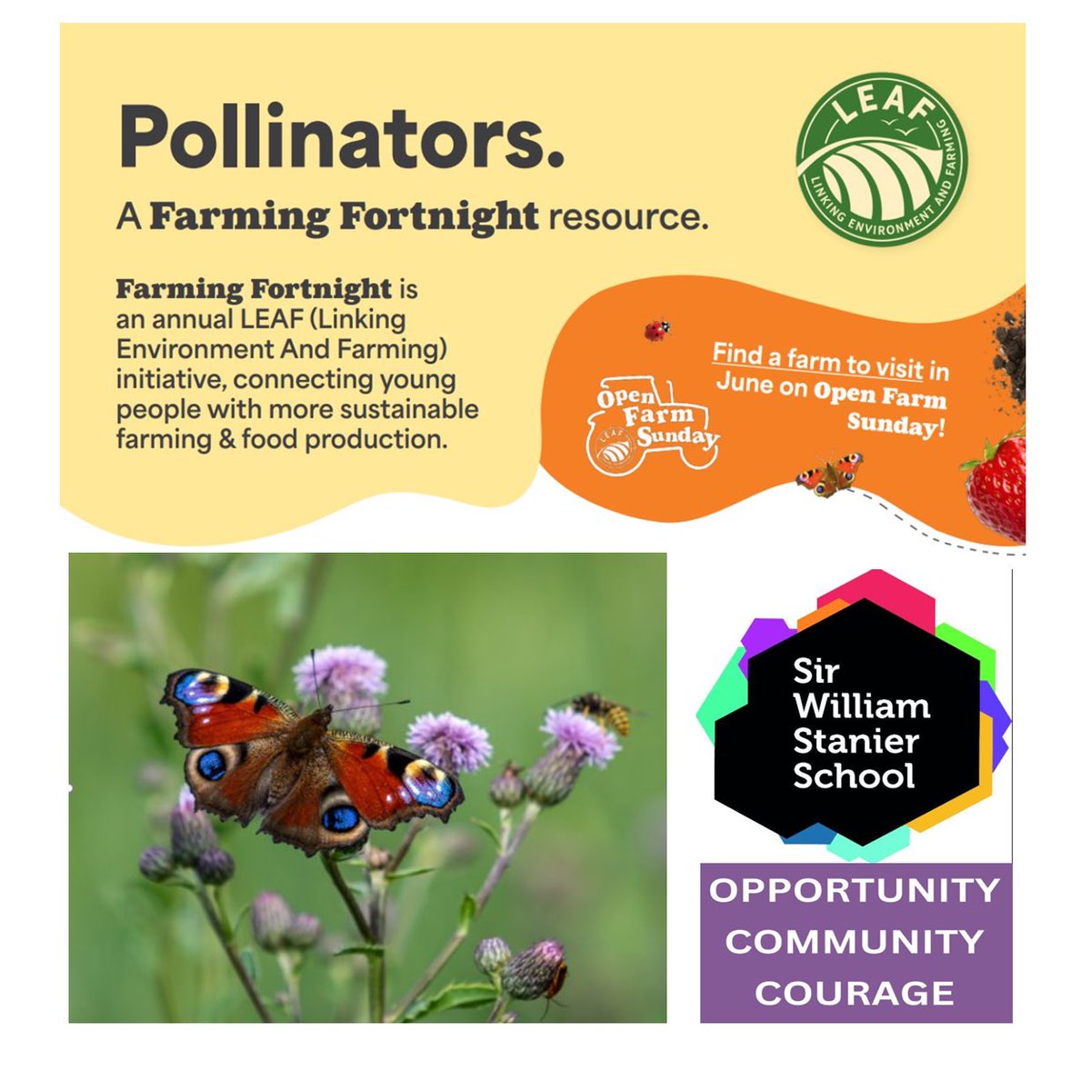 🐝 Today we're buzzing about pollination!
Students are exploring: What is pollination and why is it important for plants?
From bees to butterflies, we're learning why pollinators are vital for farming 🌼🌾 #PollinationMatters #FarmingFortnight